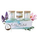 BB Candles Coastal Essentials Scented Candle Gift Set, Decorative Candles for Home Decor, Long Burning Candles Set - 4 Candles 80 Value(Sea Lavender, Lotus Garden, Eucalyptus Tea, and Coconut Vetiver)