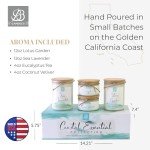 BB Candles Coastal Essentials Scented Candle Gift Set, Decorative Candles for Home Decor, Long Burning Candles Set - 4 Candles 80 Value(Sea Lavender, Lotus Garden, Eucalyptus Tea, and Coconut Vetiver)