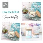 BB Candles Coastal Essentials Scented Candle Gift Set, Decorative Candles for Home Decor, Long Burning Candles Set - 4 Candles 80 Value(Sea Lavender, Lotus Garden, Eucalyptus Tea, and Coconut Vetiver)