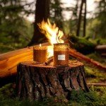 LA JOLIE MUSE Hearth & Velvet Flames Scented Candles, Christmas Candles for Home Scented, Warm Holiday Candles Gifts for Women, Wood Wicked Large Jar Candles for Home Scented, Long Burning Time, 19 Oz