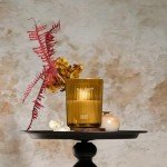 Jar Candles for Home Scented | Aromatherapy Candles Gifts for Women & Men | Natural Soy Candle | 8.4oz Traditional Style | Amalfi Citrus