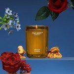 Jar Candles for Home Scented | Aromatherapy Candles Gifts for Women & Men | Natural Soy Candle | 8.4oz Traditional Style | Amalfi Citrus