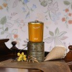 Jar Candles for Home Scented | Aromatherapy Candles Gifts for Women & Men | Natural Soy Candle | 8.4oz Traditional Style | Amalfi Citrus