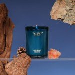 Jar Candles for Home Scented, Aromatherapy Candles Gifts for Women & Men, Natural Soy Candle, 8.4oz Traditional Style, Midnight Lights