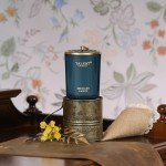 Jar Candles for Home Scented, Aromatherapy Candles Gifts for Women & Men, Natural Soy Candle, 8.4oz Traditional Style, Midnight Lights