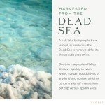 Yareli Tea Tree Oil Foot Soak, Dead Sea Magnesium Bath Salt Flakes with Essential Oils, 3lb