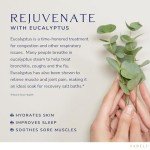 Yareli Dead Sea Bath & Foot Soak, Eucalyptus Magnesium Bath Salt Flakes, Alternative to Epsom Salt, 5lbs with Over 250,000mg of Elemental Magnesium Per Bag