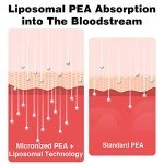 Liposomal Palmitoylethanolamide 1000 mg + Luteolin 100 mg, Micronized Pea 99% Highly Purified - Enhanced Absorption and Bioavailability, 120 Softgels