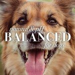 Burt's Bees for Pets Hypoallergenic Shampoo for Dogs with Shea Butter and Honey, 95% Natural Origin Formulas, Shampoo for Sensitive Dogs - Gentle Dog Shampoo, 16 oz