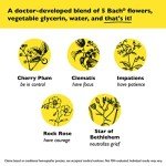 Bach RESCUE Remedy Dropper 20mL, Natural Stress Relief, Homeopathic Flower Essence, Vegan, Gluten & Sugar-Free, Non-Habit Forming (Non-Alcohol Formula)