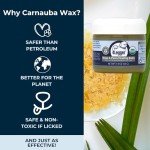 4Legger Certified Organic Dog Paw Balm Heals, Repairs, Moisturizes, Restores Dry, Cracked Paws, Elbows, Snout, Creates Protective Barrier Against Snow, Ice All-Natural Paw Protector, Vegan, USA Made