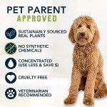 4Legger Organic Dog Shampoo, Dry, Itchy Skin and Coat Relief, Coconut Oil, Lemongrass Hemp Dog Shampoo, Puppy Shampoo 16 oz