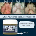 4Legger Certified Organic Dog Paw Balm Heals, Repairs, Moisturizes, Restores Dry, Cracked Paws, Elbows, Snout, Creates Protective Barrier Against Snow, Ice All-Natural Paw Protector, Vegan, USA Made