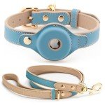 NINA WOOF Cupertino Dog Collar and Leash Bundle (Extra Small) - Vegan Leather Dog Collar Compatible with Airtag 2021 with Handcrafted Leather Leash for Dogs in a Stylish European Design - Baby Blue