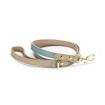 NINA WOOF Cupertino Dog Collar and Leash Bundle (Extra Small) - Vegan Leather Dog Collar Compatible with Airtag 2021 with Handcrafted Leather Leash for Dogs in a Stylish European Design - Baby Blue