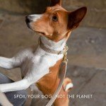 NINA WOOF Leather Dog Leash - Cupertino - Beige Slim Leash with Reinforced Hardware, European Design Soft Dog Collars, Harnesses & Leashes, 4ft