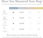 NINA WOOF Cupertino Dog Collars, Harnesses & Leashes Made from Vegan Leather with Dog Tracker Device Holder Adjustable Dog Collar - Color Blue, Medium