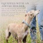 NINA WOOF Cupertino Dog Collars, Harnesses & Leashes Made from Vegan Leather with Dog Tracker Device Holder Adjustable Dog Collar - Color Blue, Medium