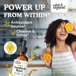 Wild & Organic Burdock Root Tincture - Liquid Supplement for Detox Cleanse, Antioxidant, Digestive Support - Burdock Root Extract Drops - Vegan, Sugar & Alcohol-Free - 2 fl oz