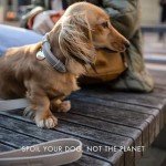 Nina Woof London Vegan Leather Dog Lead (4ft) Padded Luxury - Large & Medium Dogs, Ideal Long Leash (Grey Over Beige)