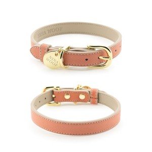 NINA WOOF Rio Vegan Leather Dog Collar - Padded Luxury Dog Collar with Adjustable Buckle - Collar for Dogs, Dog Collar for Small Dogs to Dog Collar for Large Dogs - Color Peach (Extra Small)