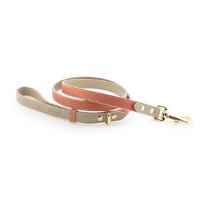 Nina Woof Rio Vegan Leather Dog Leash (4ft) Padded Luxury Dog Lead - Dog Leash Large Dogs, Dog Leashes for Medium Dogs & Ideal Long Dog Leash and Compatible with Dog Collars (Peach)