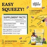 Wild & Organic Burdock Root Tincture - Liquid Supplement for Detox Cleanse, Antioxidant, Digestive Support - Burdock Root Extract Drops - Vegan, Sugar & Alcohol-Free - 2 fl oz