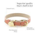 NINA WOOF Rio Vegan Leather Dog Collar - Padded Luxury Dog Collar with Adjustable Buckle - Collar for Dogs, Dog Collar for Small Dogs to Dog Collar for Large Dogs - Color Peach (Extra Small)