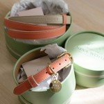 NINA WOOF Rio Vegan Leather Dog Collar - Padded Luxury Dog Collar with Adjustable Buckle - Collar for Dogs, Dog Collar for Small Dogs to Dog Collar for Large Dogs - Color Peach (Extra Small)