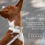 NINA WOOF Copenhagen Leather Dog Collar - Handmade with Vegan Soft Leather Round Padded Collar with Adjustable Buckle for Extra Small, Small, Medium, and Large Dogs - Color Beige, Large