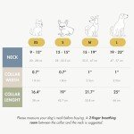 Nina Woof London Vegan Leather Dog Collar - Luxury Cute Dog Collar Adjustable Buckle Collar for Dogs, Dog Collar for Small Dogs to Dog Collar for Large Dogs - Padded Grey Over Beige, Extra Small