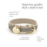 Nina Woof London Vegan Leather Dog Collar - Luxury Cute Dog Collar Adjustable Buckle Collar for Dogs, Dog Collar for Small Dogs to Dog Collar for Large Dogs - Padded Grey Over Beige, Extra Small