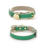 NINA WOOF Rio Vegan Leather Dog Collar - Padded Luxury Dog Collar with Adjustable Buckle - Collar for Dogs, Dog Collar for Small Dogs to Dog Collar for Large Dogs (Extra-Small, Emerald)