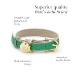 NINA WOOF Rio Vegan Leather Dog Collar - Padded Luxury Dog Collar with Adjustable Buckle - Collar for Dogs, Dog Collar for Small Dogs to Dog Collar for Large Dogs (Extra-Small, Emerald)