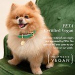 NINA WOOF Rio Vegan Leather Dog Collar - Padded Luxury Dog Collar with Adjustable Buckle - Collar for Dogs, Dog Collar for Small Dogs to Dog Collar for Large Dogs (Extra-Small, Emerald)