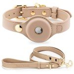 NINA WOOF Cupertino Dog Collar and Leash Bundle (Extra Small) - Vegan Leather Dog Collar Compatible with Airtag 2021 with Handcrafted Leather Leash for Dogs in a Stylish European Design - Beige