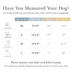 NINA WOOF Cupertino Dog Collars, Harnesses & Leashes Made from Vegan Leather with Dog Tracker Device Holder Adjustable Dog Collar (Small, Beige)