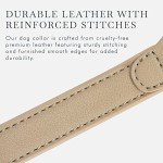 NINA WOOF Cupertino Dog Collars, Harnesses & Leashes Made from Vegan Leather with Dog Tracker Device Holder Adjustable Dog Collar (Small, Beige)