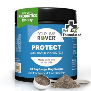 Four Leaf Rover Protect - Probiotics for Dogs - Veterinarian Formulated - with Natural Prebiotics and Antioxidants - Detoxification & Gut Health - 60 Day Large Dog Supply
