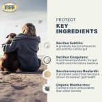 Four Leaf Rover Protect - Probiotics for Dogs - Veterinarian Formulated - with Natural Prebiotics and Antioxidants - Detoxification & Gut Health - 60 Day Large Dog Supply