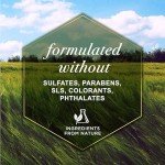 Burt's Bees for Pets Refreshing Spray for Dogs with Milk and Honey, 98.2% Natural Origin Formulas, Waterless Dog Shampoo - Gentle Dry Shampoo for Dogs, Best Dog Shampoo, 8 oz