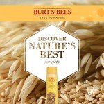 Burt's Bees for Pets Oatmeal Dog Conditioner with Colloidal Oat Flour and Honey, 95% Natural Origin Formulas, Gentle Dog Conditioner, Best Dog Conditioner for Itchy Dogs, 10 oz