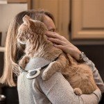 Assisi Loop 2.0 Manual tPEMF Device for Dogs, Cats, and Horses (20 CM)