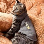 Thundershirt Classic Cat Anxiety Jacket, Heather Gray, Medium (9 to 13 lbs), THU-009