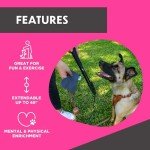 SwiftPaws Flirt Pole Toy - For Dogs - Extendable to 48” and Collapsible to 16” - All Aluminum + Paracord Line - Provides Exercise and Stimulation - For Playful Enrichment - Includes Durable Bone Flag