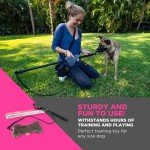 SwiftPaws Flirt Pole Toy - For Dogs - Extendable to 48” and Collapsible to 16” - All Aluminum + Paracord Line - Provides Exercise and Stimulation - For Playful Enrichment - Includes Durable Bone Flag