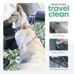 Molly Mutt 3-in-1 Back Seat Cover for Dogs, Back Seat Hammock, Cargo Area Cover, Non-Skid, 100% Cotton Canvas, Water-Resistant, Features Adjustable Headrest Straps, Belt Slots, Seat Anchors, 56"x56"