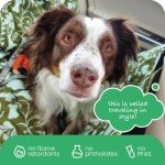 Molly Mutt 3-in-1 Back Seat Cover for Dogs, Back Seat Hammock, Cargo Area Cover, Non-Skid, 100% Cotton Canvas, Water-Resistant, Features Adjustable Headrest Straps, Belt Slots, Seat Anchors, 56"x56"