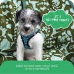 Molly Mutt 3-in-1 Back Seat Cover for Dogs, Back Seat Hammock, Cargo Area Cover, Non-Skid, 100% Cotton Canvas, Water-Resistant, Features Adjustable Headrest Straps, Belt Slots, Seat Anchors, 56"x56"