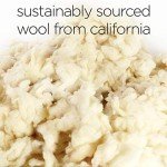 Molly Mutt Sheepy Wool Crate Mat - 100% Cotton Canvas Cover with Temperature-Regulating 100% Natural Wool-Filled Insert Dog Bed - Soft & Supportive Bed - (30"x21"x2.5", Clark Gable)